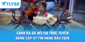 Sảnh Đá Gà WS168 Trực Tuyến Đẳng Cấp Uy Tín Hàng Đầu 2026