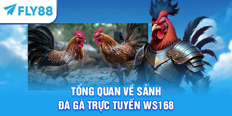 Tổng quan về sảnh đá gà trực tuyến WS168