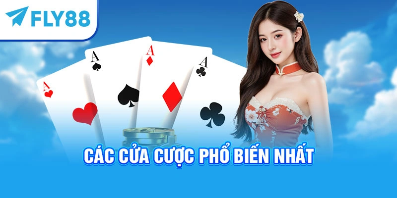 Các cửa cược phổ biến nhất