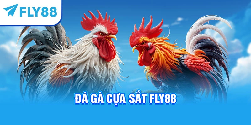 Đá gà cựa sắt Fly88