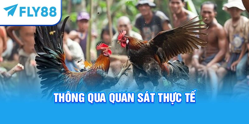 Thông qua quan sát thực tế