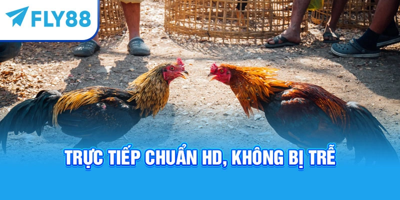 Trực tiếp chuẩn HD, không bị trễ