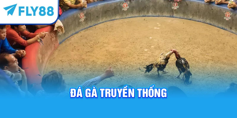 Đá gà truyền thống