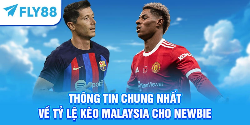 Thông tin chung nhất về tỷ lệ kèo Malaysia cho newbie