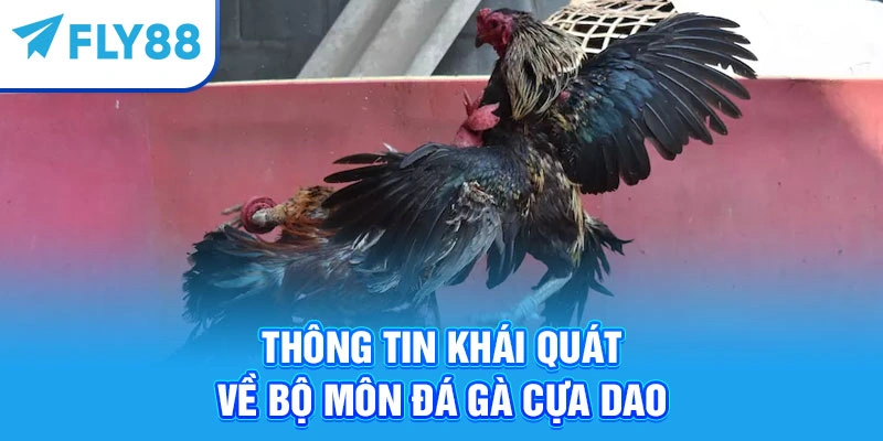 Thông tin khái quát về bộ môn đá gà cựa dao