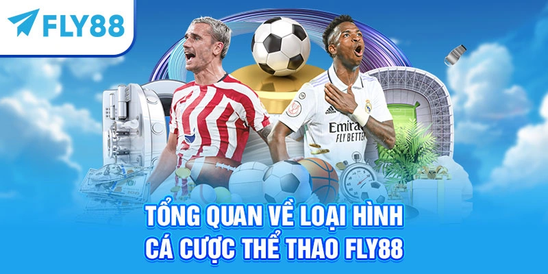 Tổng quan về loại hình cá cược thể thao Fly88