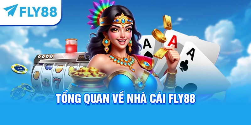Tổng quan về nhà cái Fly88