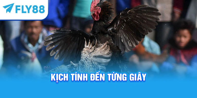 Kịch tính đến từng giây