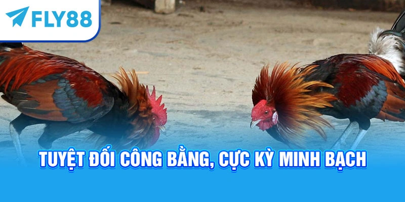 Tuyệt đối công bằng, cực kỳ minh bạch
