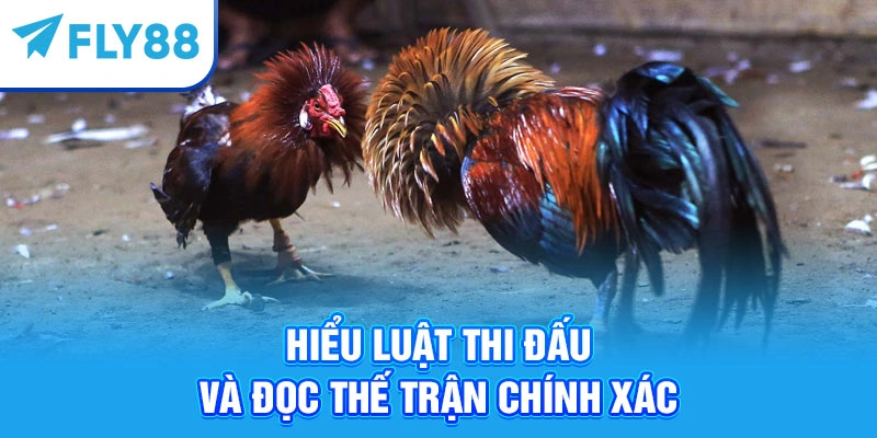 Hiểu luật thi đấu và đọc thế trận chính xác